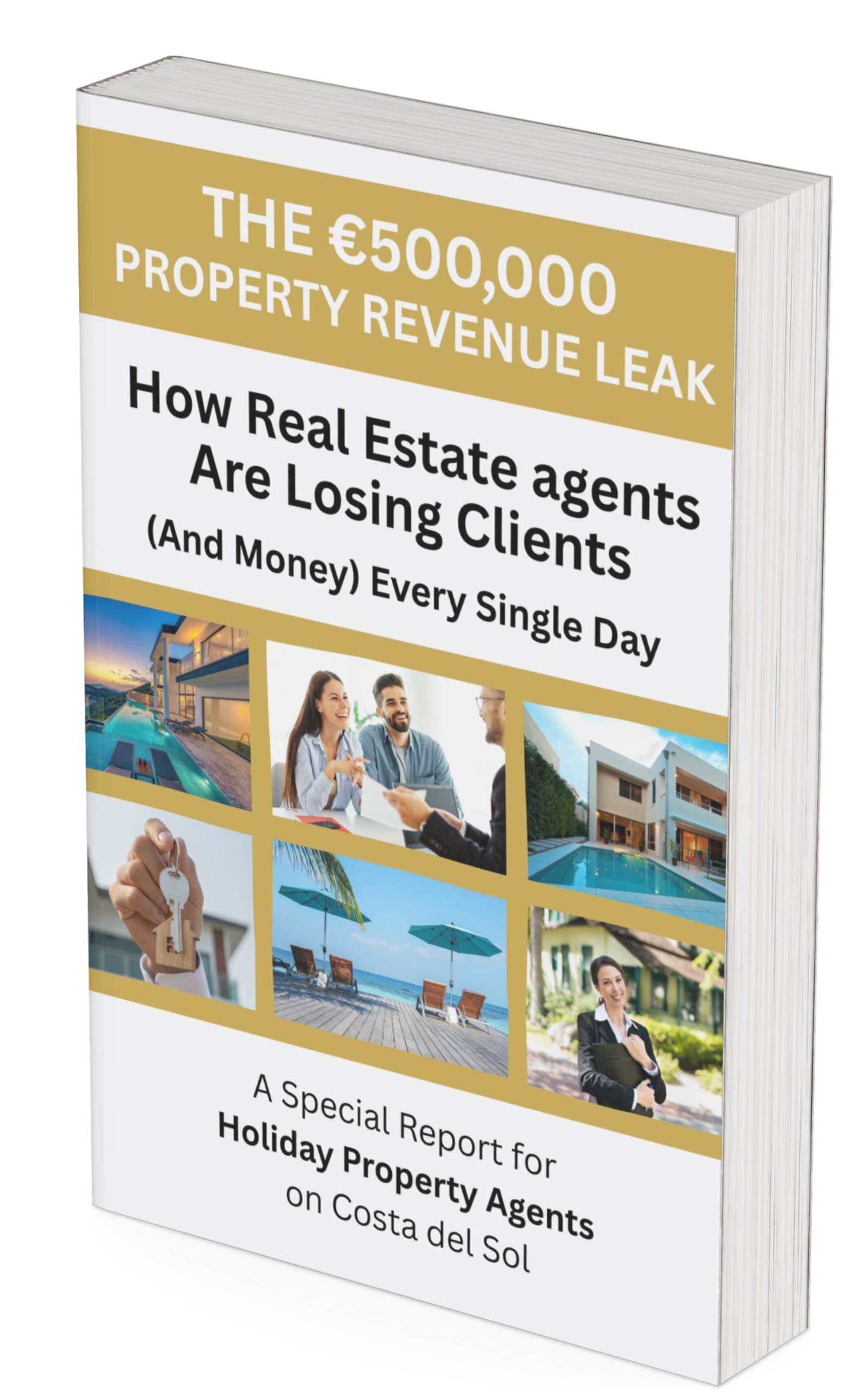 AI Voice Systems for Costa del Sol Estate Agents